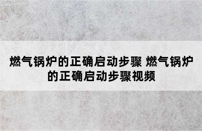 燃气锅炉的正确启动步骤 燃气锅炉的正确启动步骤视频